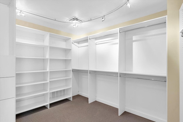 301 N Neil St Unit 808-809, Champaign, IL 61820 - walk in closet with carpet