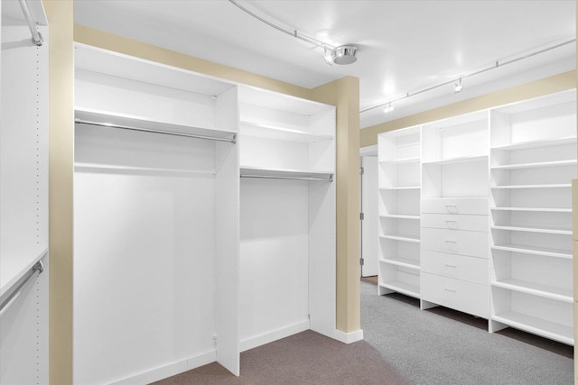 301 N Neil St Unit 808-809, Champaign, IL 61820 - walk in closet featuring carpet floors