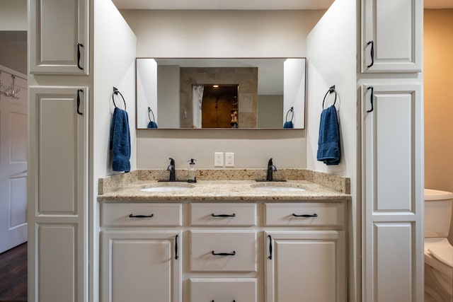 bathroom featuring hardwood / wood-style floors and vanity