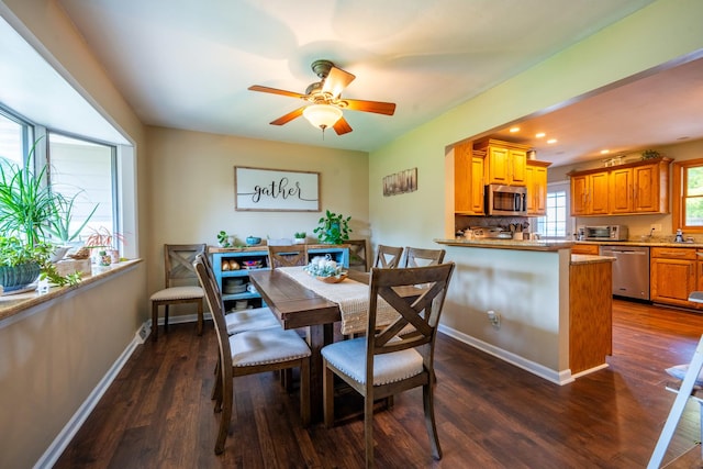 dining area featuring ceiling fan and dark hardwood / wood-style floors