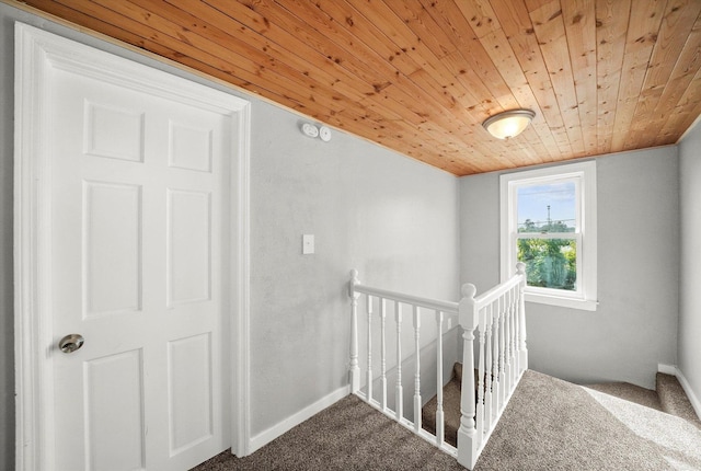 staircase featuring wooden ceiling and carpet flooring