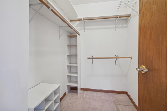 walk in closet with light carpet