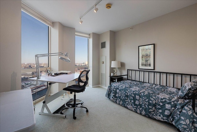 bedroom with light colored carpet, track lighting, and expansive windows