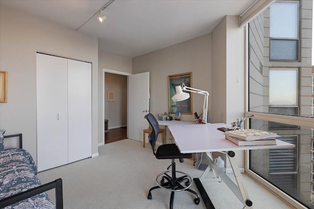 office with light colored carpet and rail lighting