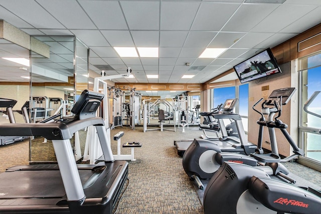 gym featuring carpet, a healthy amount of sunlight, and a drop ceiling