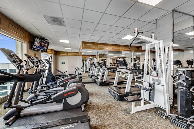 gym with carpet floors and a paneled ceiling