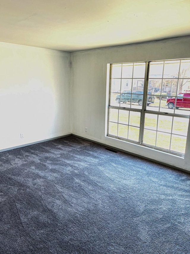 unfurnished room with carpet flooring