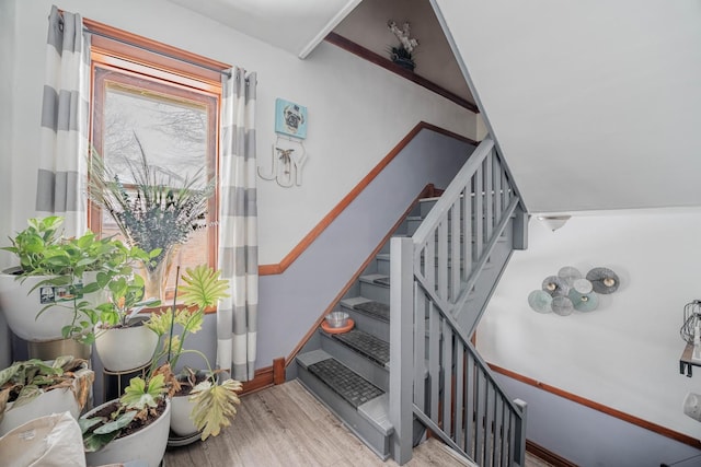 staircase featuring wood-type flooring