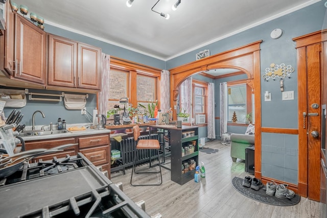 kitchen featuring sink, light hardwood / wood-style flooring, and crown molding