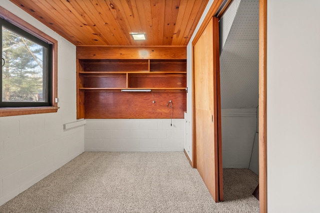 interior space featuring carpet floors