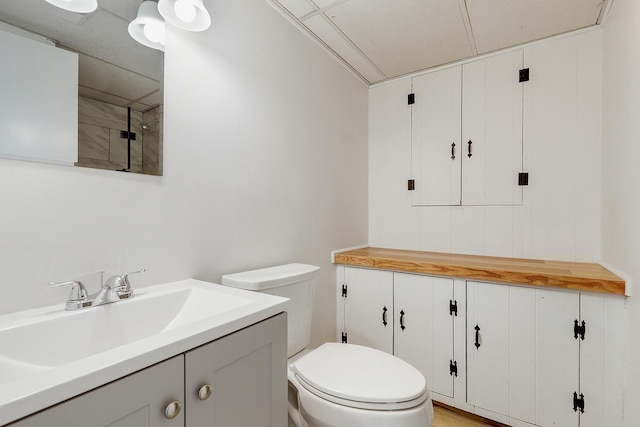 bathroom with toilet and vanity