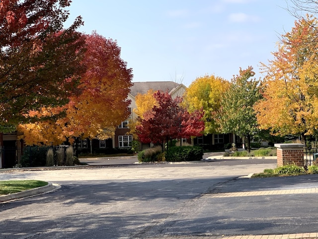 view of road