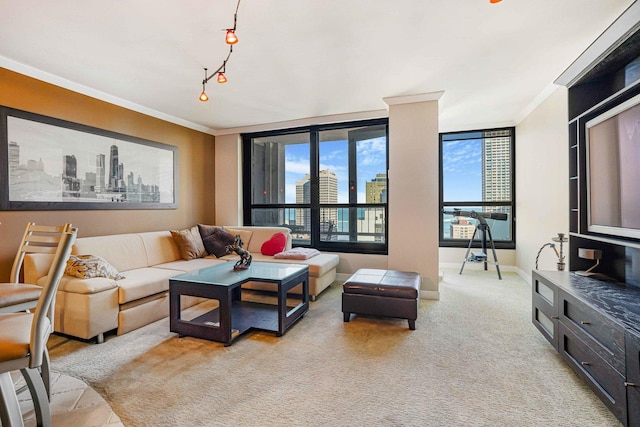 carpeted living room featuring crown molding