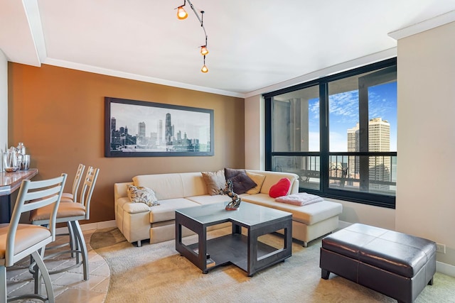 living room with ornamental molding