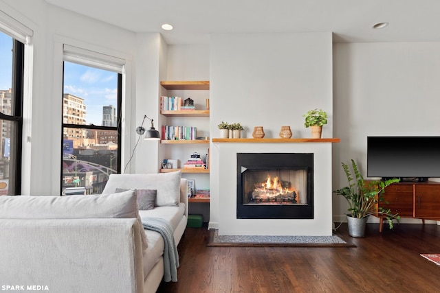 living area featuring dark hardwood / wood-style floors