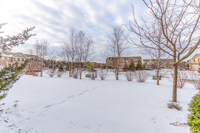 view of yard covered in snow