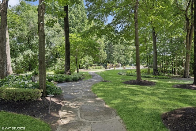 view of property's community featuring a yard