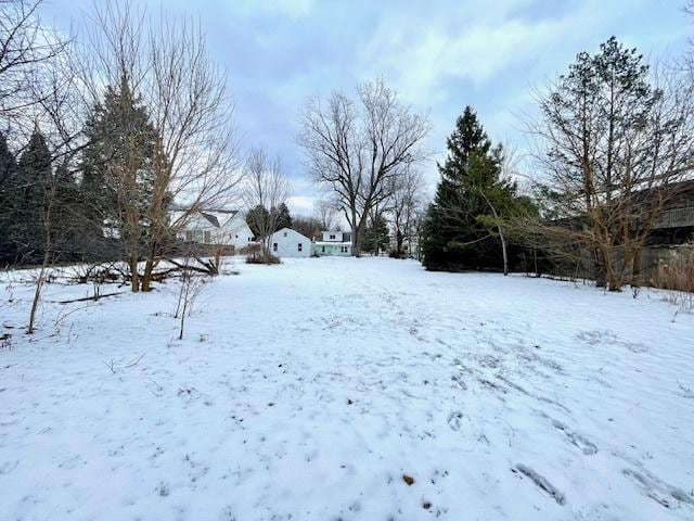 view of yard covered in snow