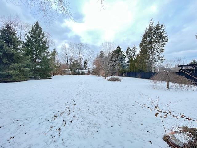 view of yard covered in snow