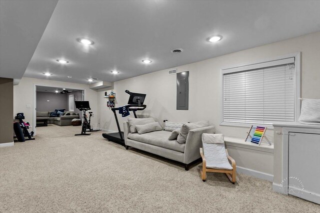 workout area with carpet flooring and electric panel