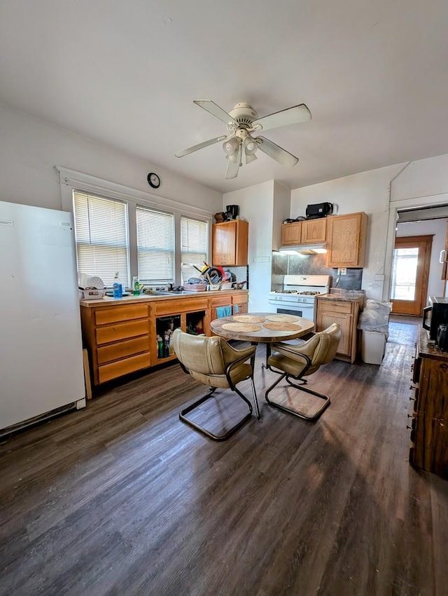 dining room featuring dark wood-type flooring and ceiling fan