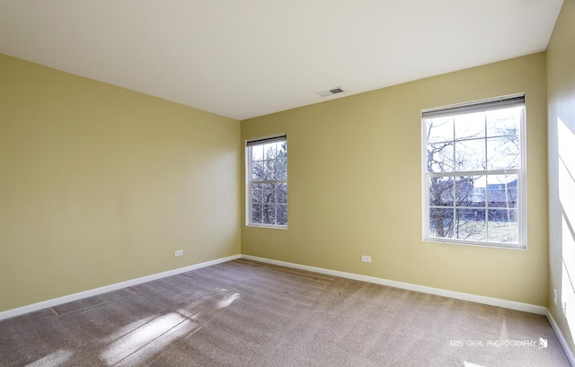 spare room featuring carpet floors