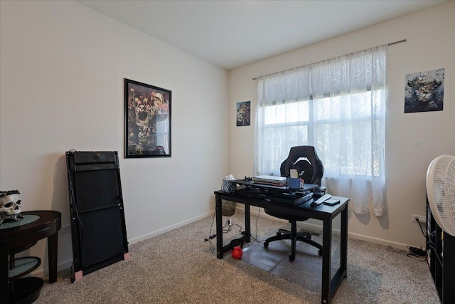 home office with carpet