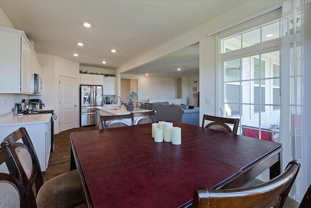 dining area featuring sink and dark hardwood / wood-style floors