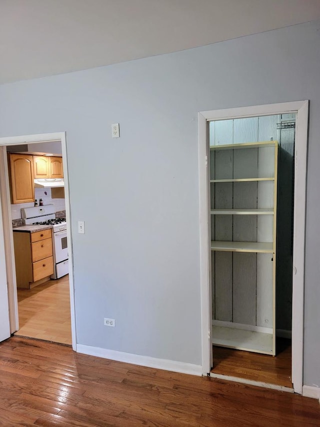 empty room with light hardwood / wood-style flooring