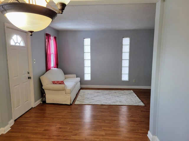 entryway with dark wood-type flooring