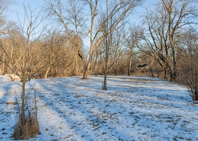 view of snowy yard