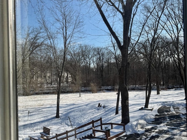 view of snowy yard