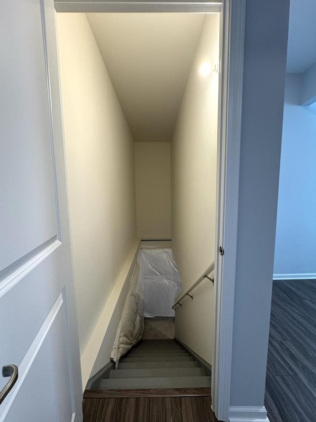 staircase with wood-type flooring