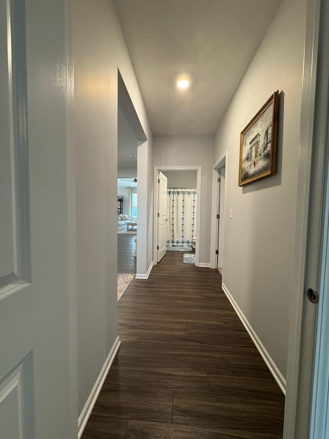 hallway featuring dark hardwood / wood-style floors