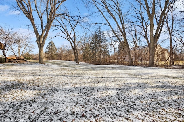 view of yard covered in snow