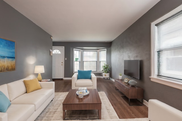 living room with a healthy amount of sunlight and hardwood / wood-style floors