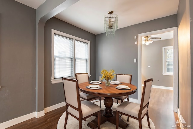 dining room featuring ceiling fan with notable chandelier, dark hardwood / wood-style flooring, and plenty of natural light