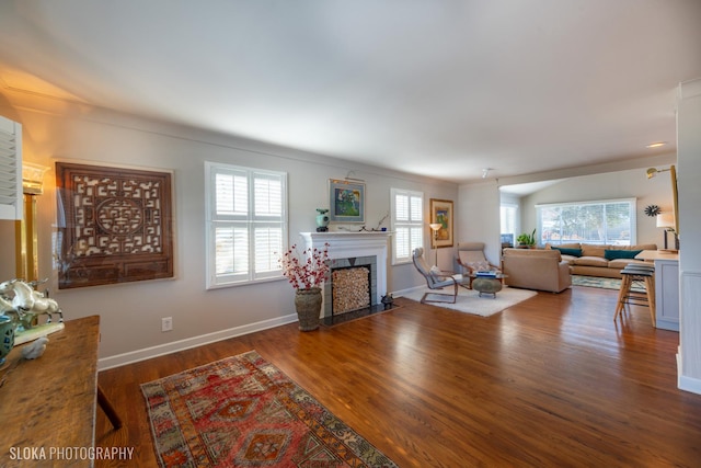 living room featuring wood-type flooring and a healthy amount of sunlight