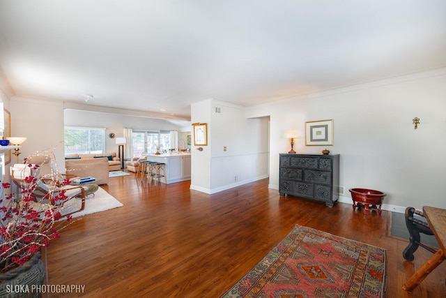 living room with crown molding, dark hardwood / wood-style floors, and sink