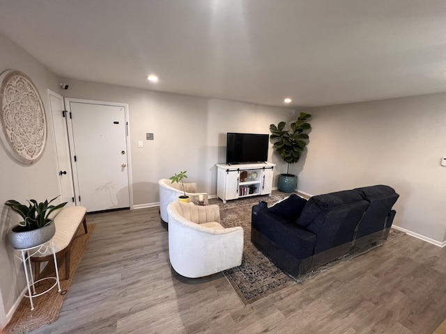 living room with hardwood / wood-style floors