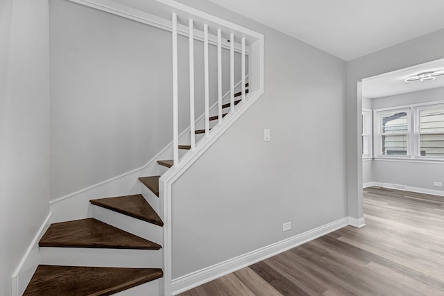 staircase with hardwood / wood-style floors