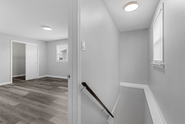 hallway featuring light hardwood / wood-style floors and a wealth of natural light