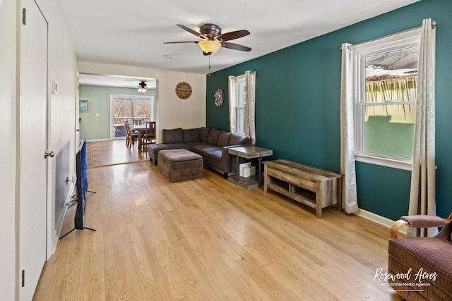 living room featuring ceiling fan, light wood-type flooring, and a wealth of natural light