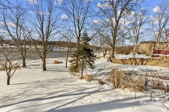 view of snowy yard