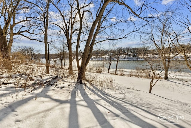 view of yard covered in snow