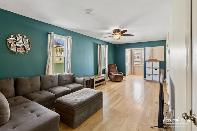 living room featuring ceiling fan, a wealth of natural light, and light hardwood / wood-style floors