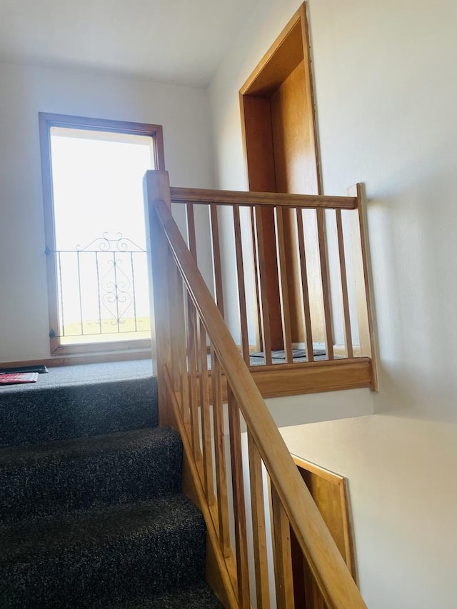 staircase featuring carpet floors