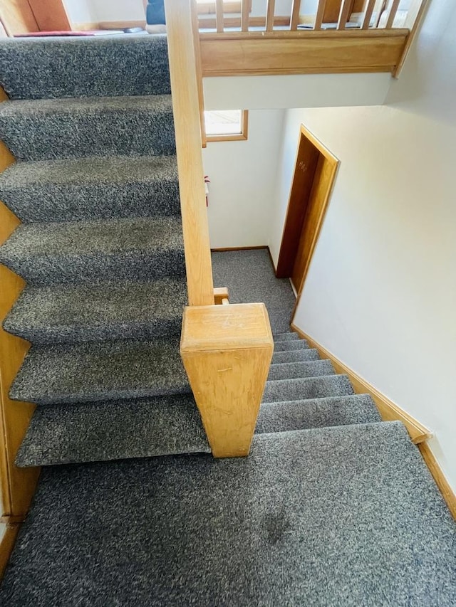 stairs with carpet floors