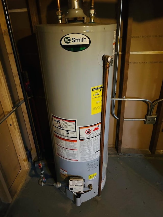 utility room with gas water heater