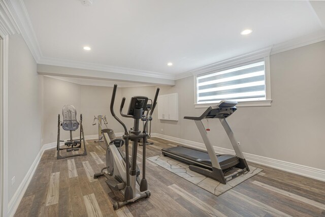 workout area featuring ornamental molding and hardwood / wood-style flooring